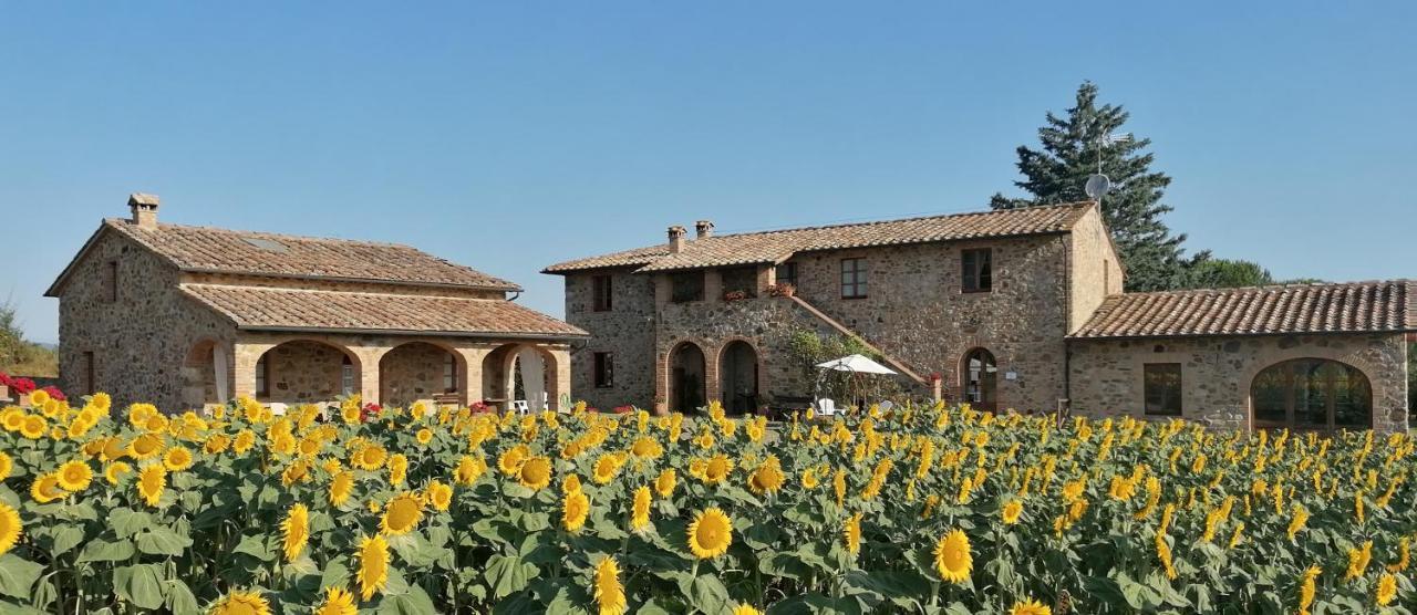 Casetta della Pina Monticiano Esterno foto